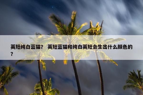英短纯白蓝猫？ 英短蓝猫和纯白英短会生出什么颜色的？