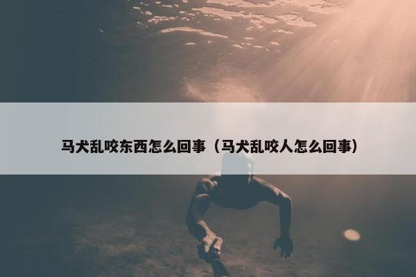 马犬乱咬东西怎么回事（马犬乱咬人怎么回事）