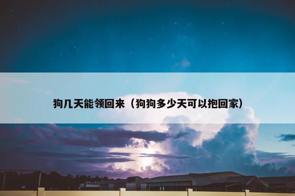狗几天能领回来（狗狗多少天可以抱回家）