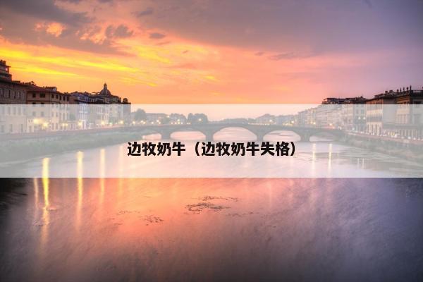 边牧奶牛（边牧奶牛失格）