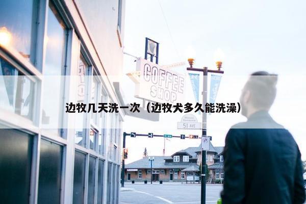 边牧几天洗一次（边牧犬多久能洗澡）