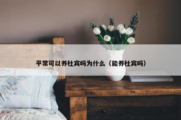 平常可以养杜宾吗为什么（能养杜宾吗）