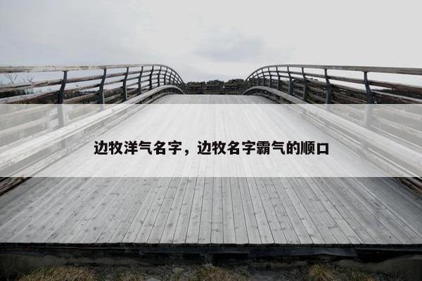 边牧洋气名字，边牧名字霸气的顺口