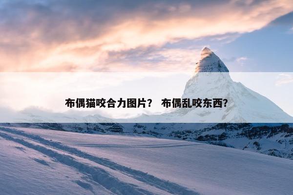布偶猫咬合力图片？ 布偶乱咬东西？