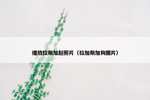 播放拉斯加赵照片（拉加斯加狗图片）