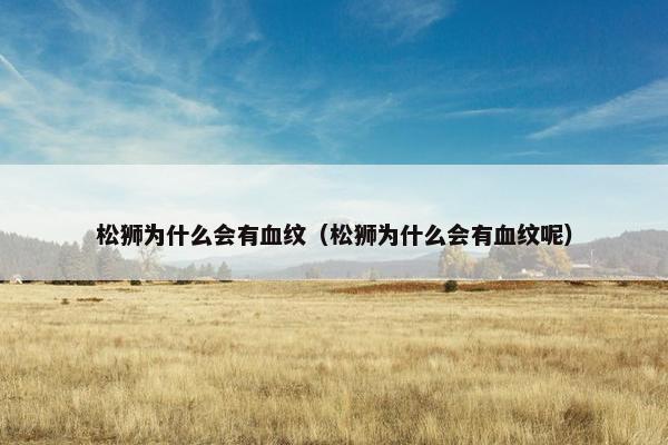 松狮为什么会有血纹（松狮为什么会有血纹呢）
