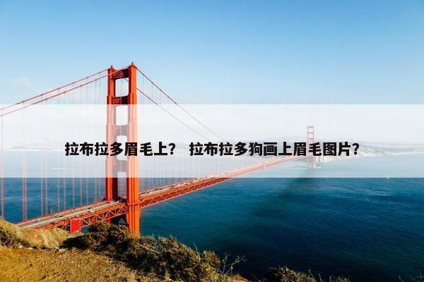 拉布拉多眉毛上？ 拉布拉多狗画上眉毛图片？