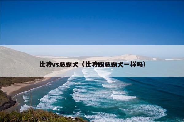 比特vs恶霸犬（比特跟恶霸犬一样吗）