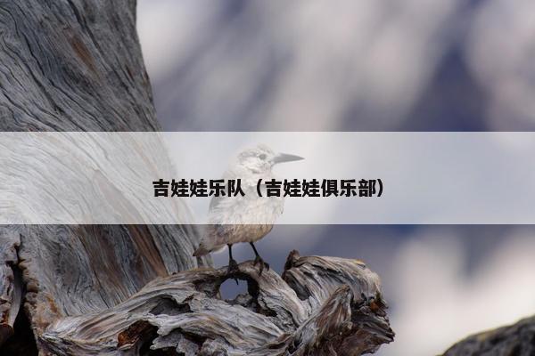 吉娃娃乐队（吉娃娃俱乐部）