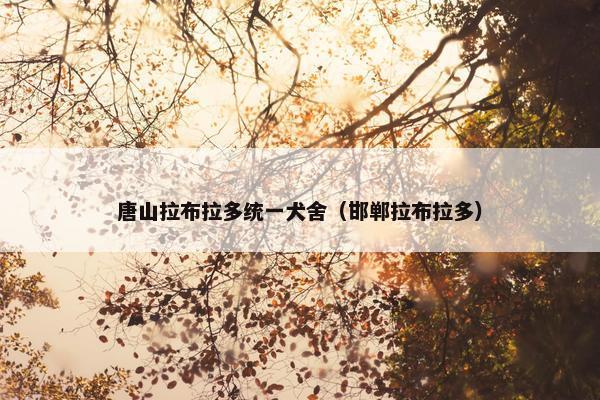 唐山拉布拉多统一犬舍（邯郸拉布拉多）