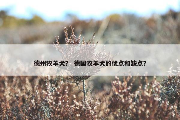 德州牧羊犬？ 德国牧羊犬的优点和缺点？