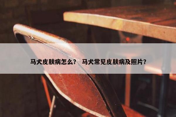 马犬皮肤病怎么？ 马犬常见皮肤病及照片？