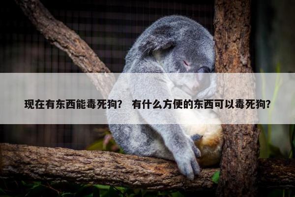 现在有东西能毒死狗？ 有什么方便的东西可以毒死狗？