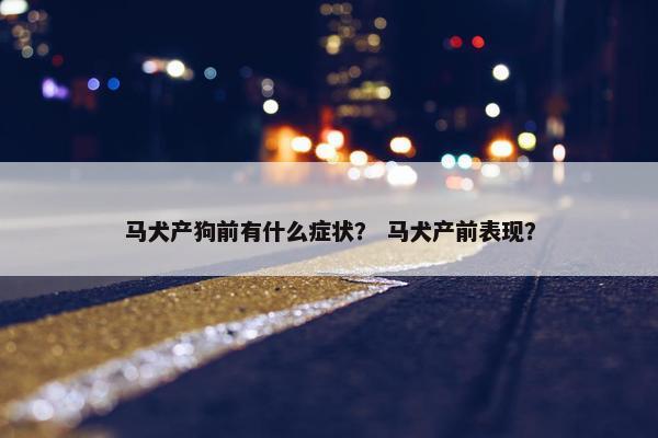 马犬产狗前有什么症状？ 马犬产前表现？