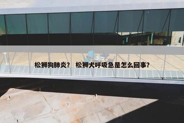 松狮狗肺炎？ 松狮犬呼吸急是怎么回事？