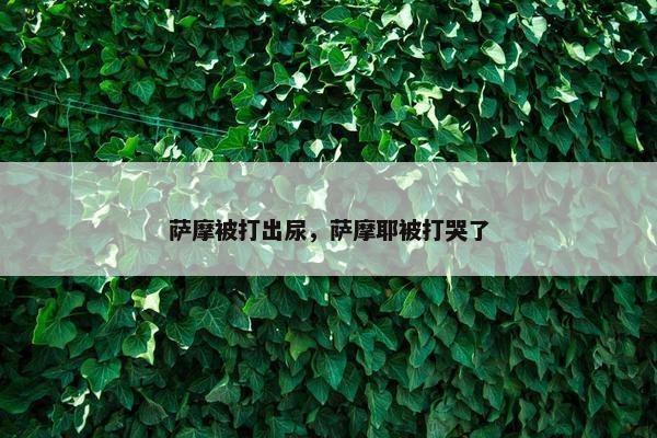 萨摩被打出尿，萨摩耶被打哭了