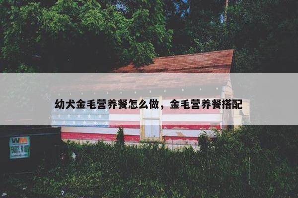 幼犬金毛营养餐怎么做，金毛营养餐搭配