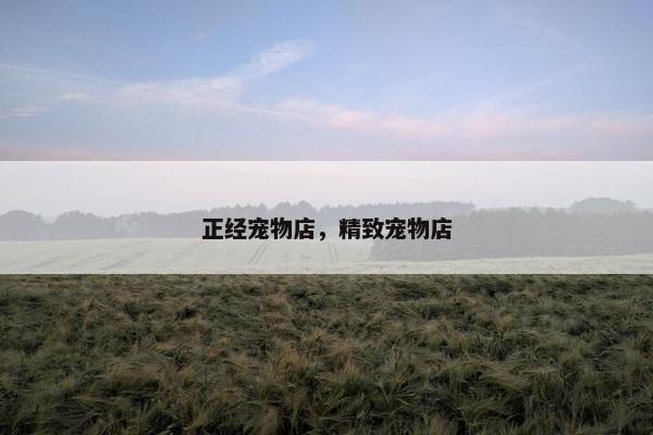 正经宠物店，精致宠物店