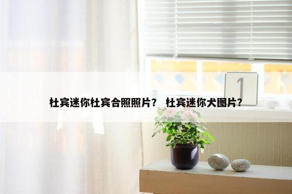 杜宾迷你杜宾合照照片？ 杜宾迷你犬图片？