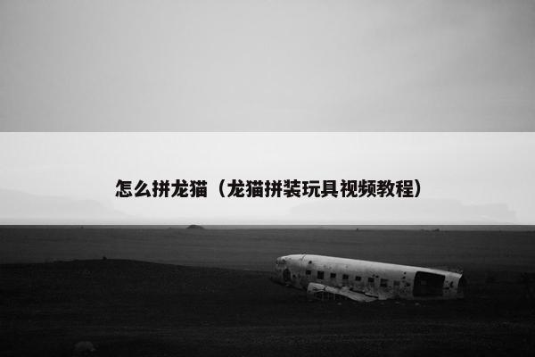 怎么拼龙猫（龙猫拼装玩具视频教程）