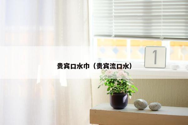 贵宾口水巾（贵宾流口水）