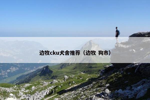 边牧cku犬舍推荐（边牧 狗市）