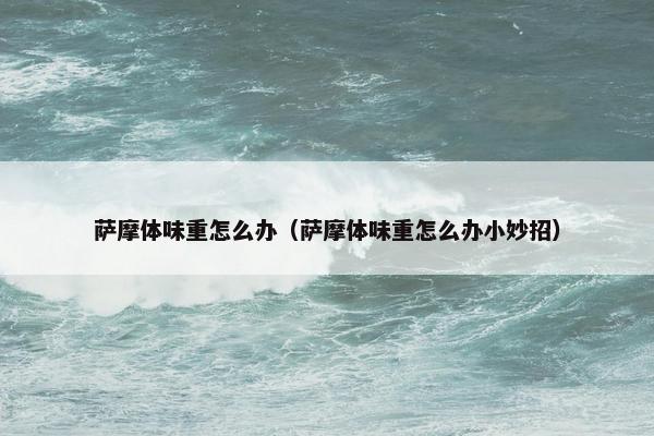 萨摩体味重怎么办（萨摩体味重怎么办小妙招）