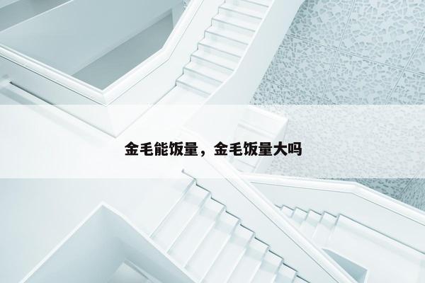 金毛能饭量，金毛饭量大吗