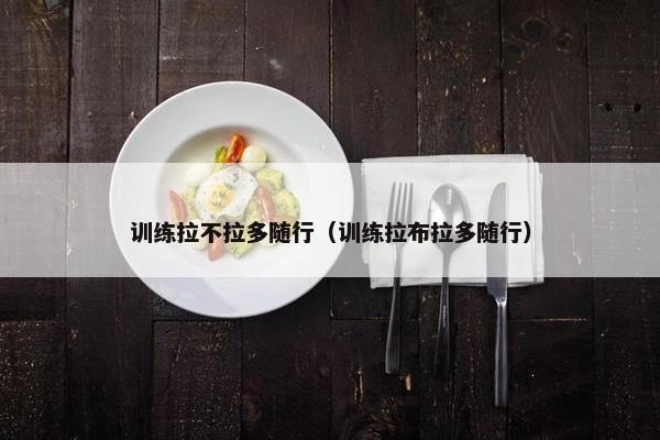 训练拉不拉多随行（训练拉布拉多随行）