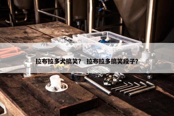 拉布拉多犬搞笑？ 拉布拉多搞笑段子？