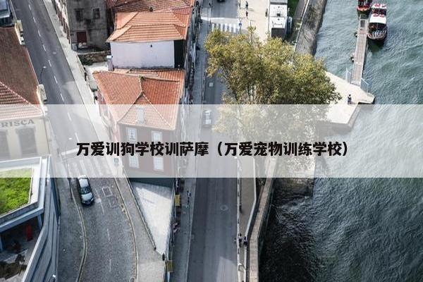 万爱训狗学校训萨摩（万爱宠物训练学校）