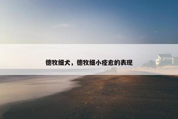德牧细犬，德牧细小痊愈的表现