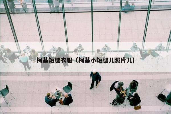 柯基短腿衣服（柯基小短腿儿照片儿）