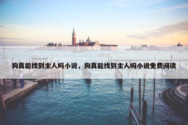 狗真能找到主人吗小说，狗真能找到主人吗小说免费阅读