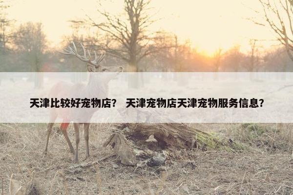 天津比较好宠物店？ 天津宠物店天津宠物服务信息？