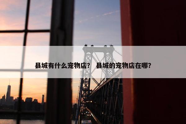 县城有什么宠物店？ 县城的宠物店在哪？