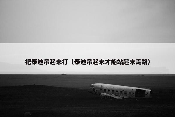 把泰迪吊起来打（泰迪吊起来才能站起来走路）