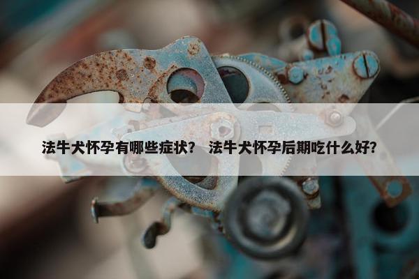 法牛犬怀孕有哪些症状？ 法牛犬怀孕后期吃什么好？