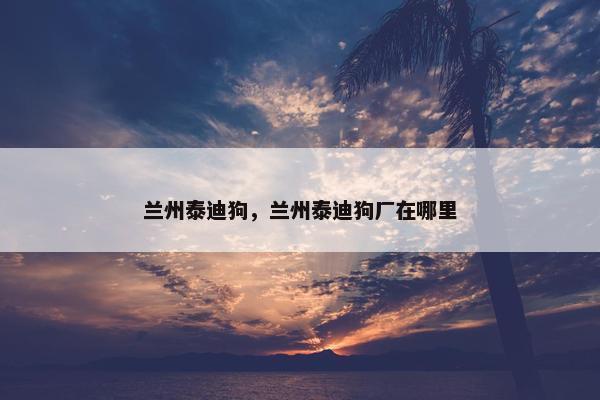 兰州泰迪狗，兰州泰迪狗厂在哪里