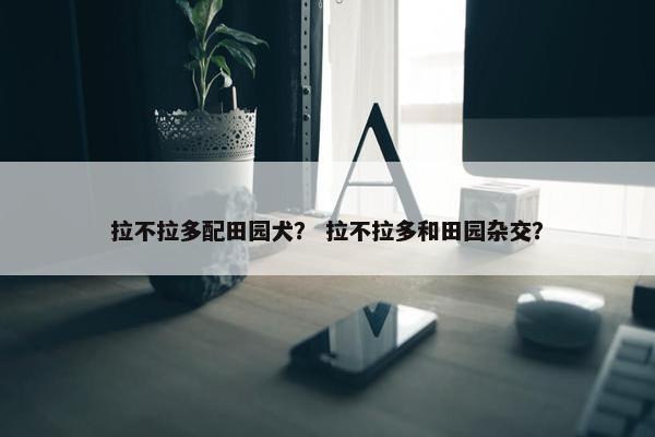 拉不拉多配田园犬？ 拉不拉多和田园杂交？