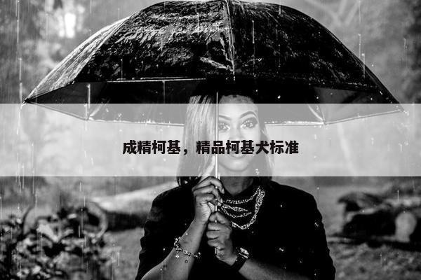 成精柯基，精品柯基犬标准