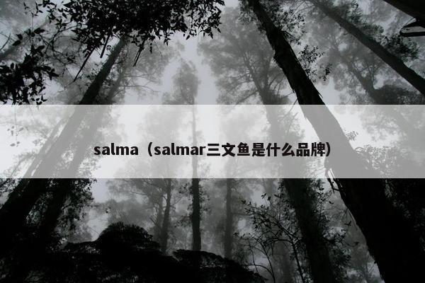 salma（salmar三文鱼是什么品牌）