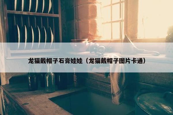 龙猫戴帽子石膏娃娃（龙猫戴帽子图片卡通）