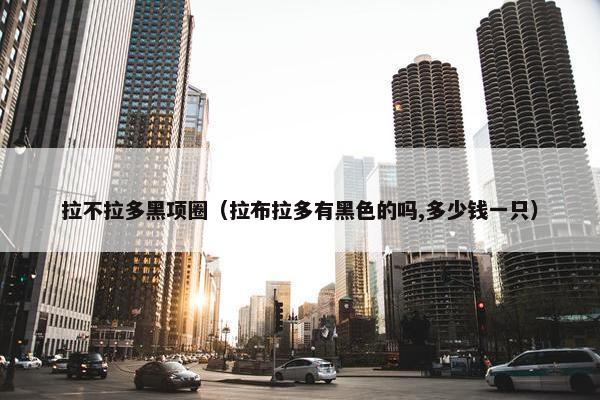 拉不拉多黑项圈（拉布拉多有黑色的吗,多少钱一只）
