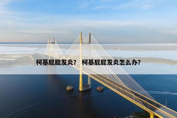 柯基屁屁发炎？ 柯基屁屁发炎怎么办？
