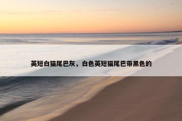 英短白猫尾巴灰，白色英短猫尾巴带黑色的