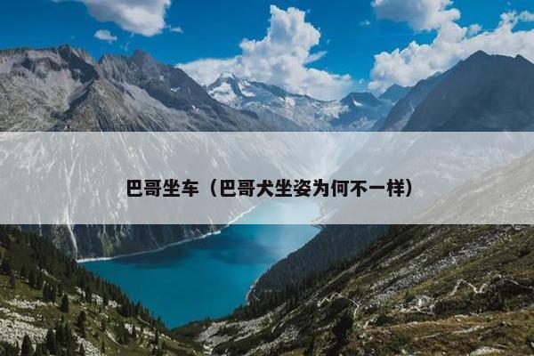 巴哥坐车（巴哥犬坐姿为何不一样）