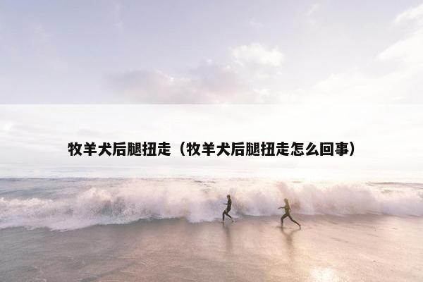 牧羊犬后腿扭走（牧羊犬后腿扭走怎么回事）