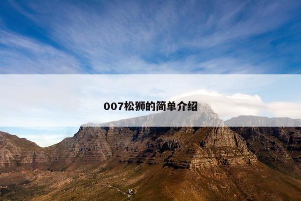 007松狮的简单介绍