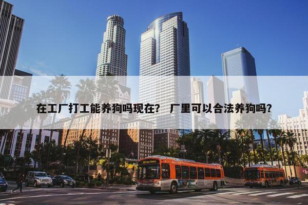 在工厂打工能养狗吗现在？ 厂里可以合法养狗吗？